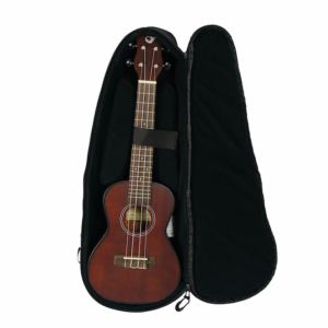 Journey travel guitar ukuleles